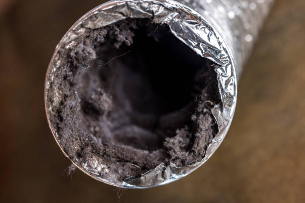 Best Dryer Vent Cleaning Services  in Larchmont, NY